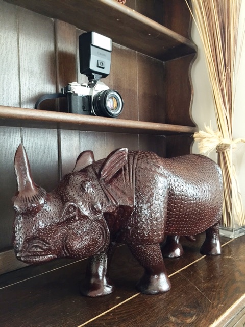 Rhino1 1