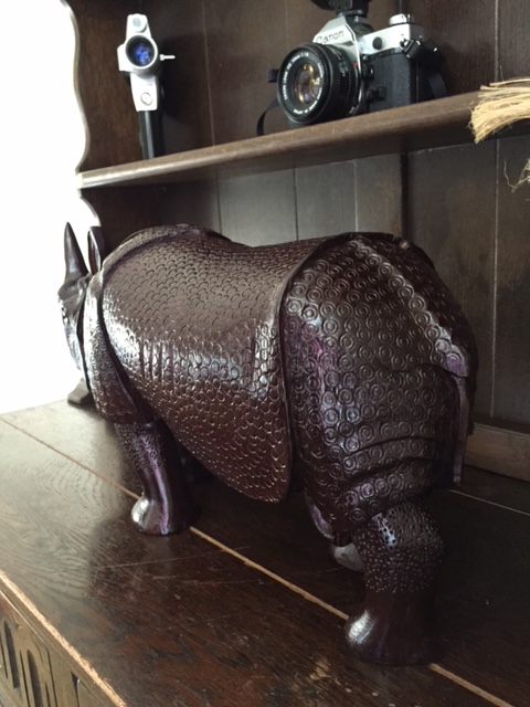 Rhino1 5